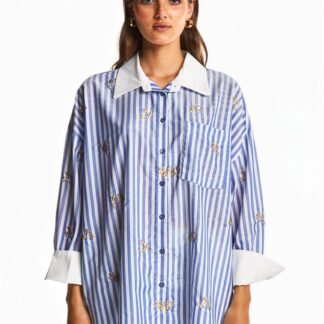 Chemise à rayures bleues de face